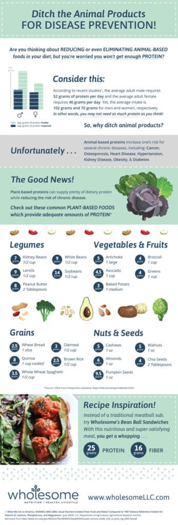 Sources of Plant-Based Protein - An Infographic