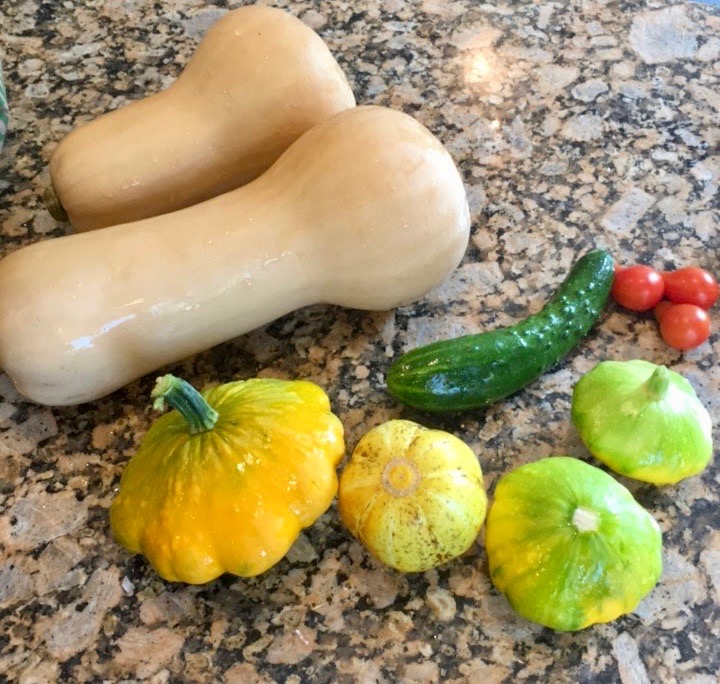 One of our harvests this summer which included butternut squash!