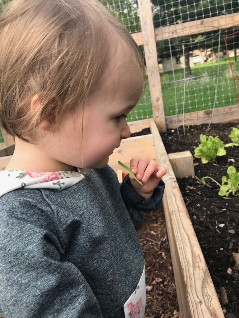 Eleni loves trying lettuce right out of the garden! Growing a garden is another great way to save money, but you have to enjoy gardening.