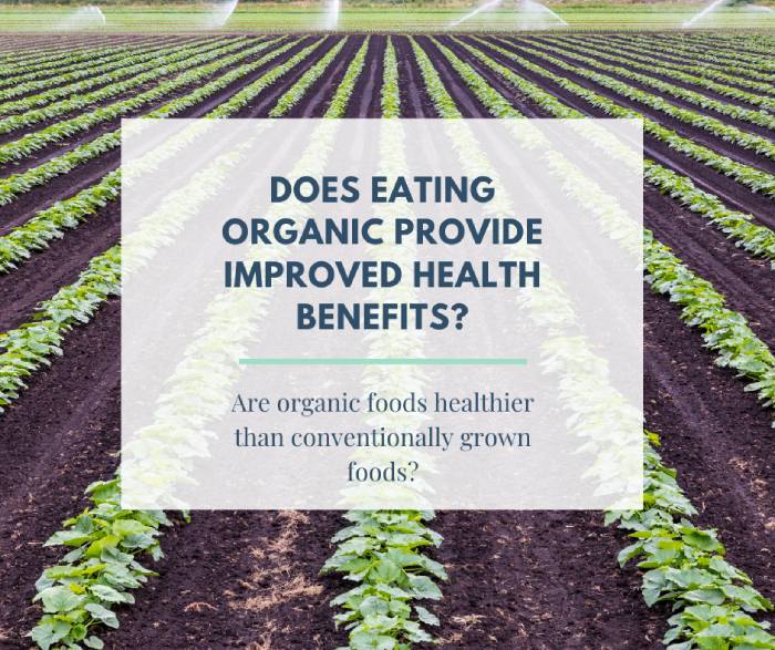 Organic Foods and Cancer Risk | Wholesome LLC