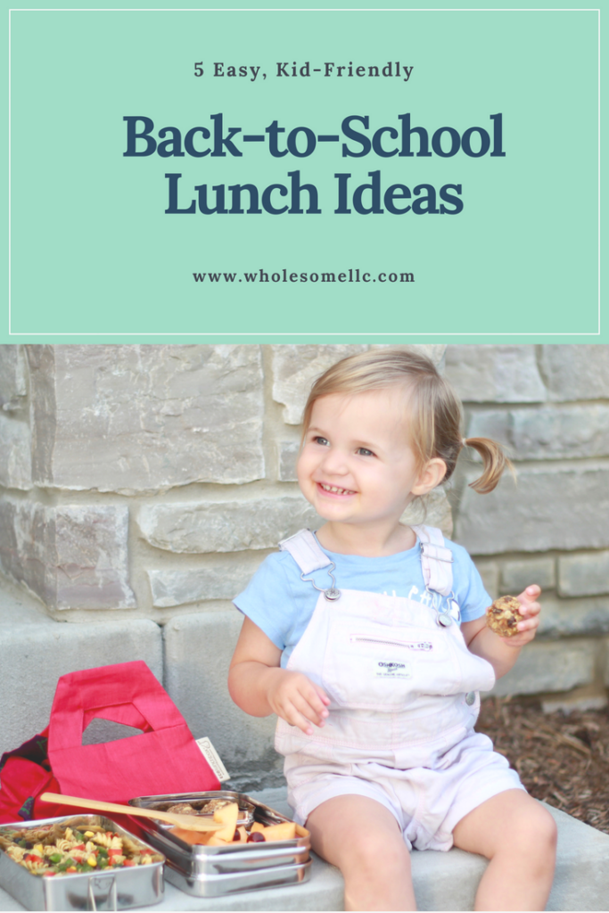 Back to School Lunch Ideas - Wholesome LLC